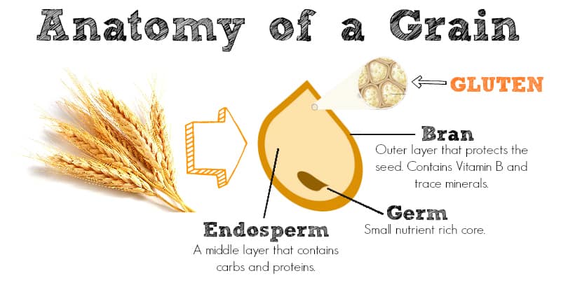 Anatomy of a Grain